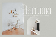 Ramashinta // Stylish Modern Serif, a Serif Font by BrandSemut (Thumbnail 2 of 9)