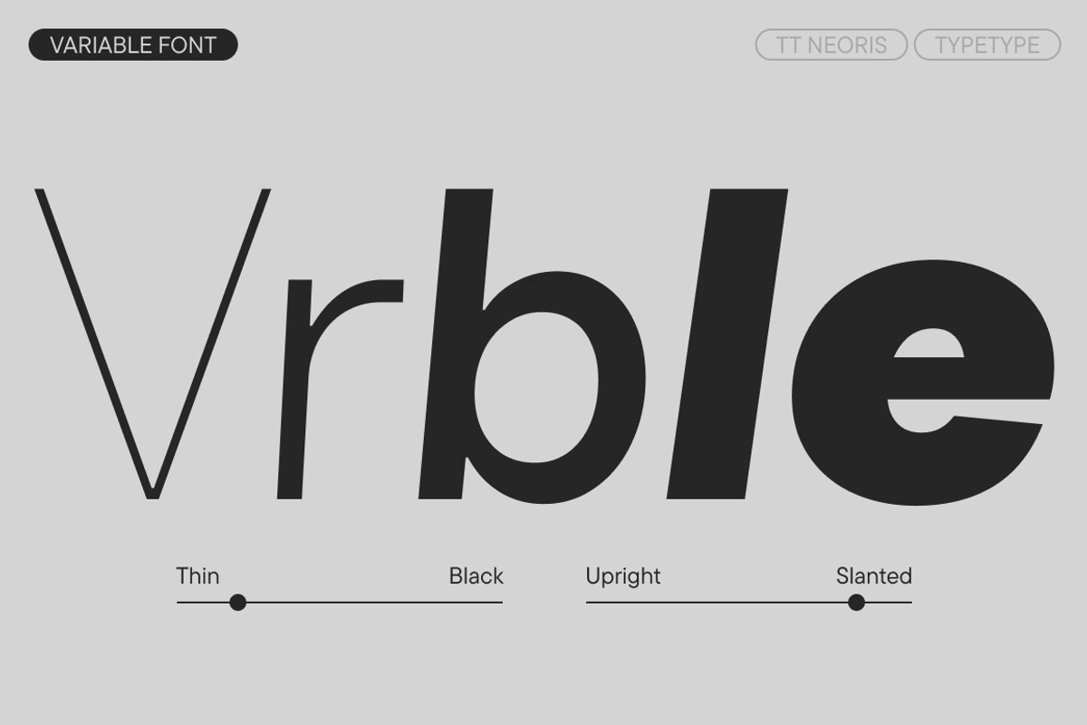 TT Neoris, a Sans Serif Font by TypeType (Photo 5 of 15)