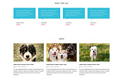 Pet Care Responsive One Page Theme, a Landing Page Template by IceTemplates (Thumbnail 3 of 3)