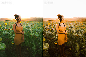 2023 Autumn Lightroom Presets