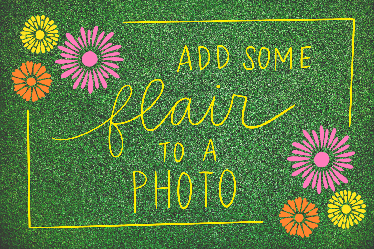 Procreate Stamp Flowers Set preview 8