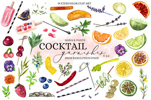 Cocktail Garnishes Clip Art Set V2, an Object Graphic by Maria B. Paints