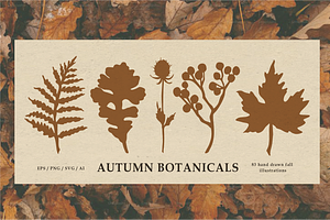 Autumn Botanicals Clipart, a Seasonal Illustration by RaDavCrafts