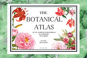 Watercolor botanical flowers, a Decorative Illustration by ivanushka-art (Thumbnail 4 of 5)