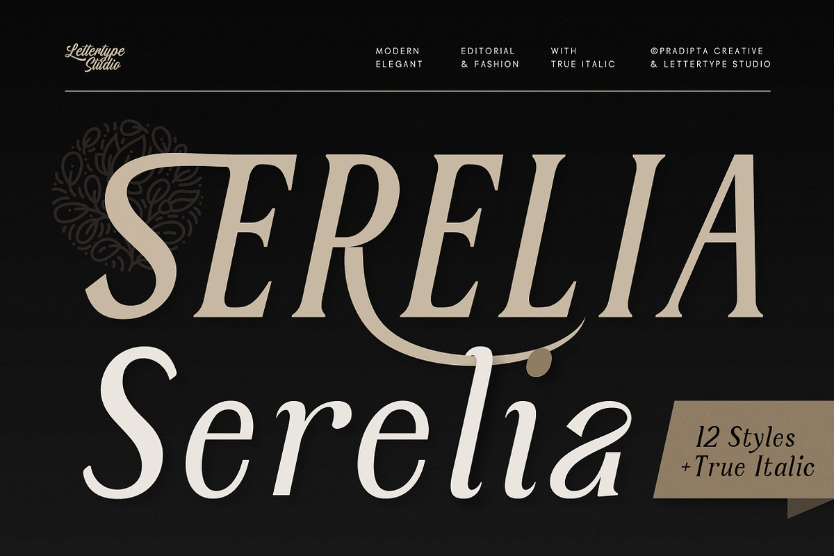 Serelia Serif Family | Intro 60% OFF, a Serif Font by Lettertype Studio (Photo 1 of 17)