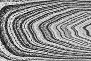 Wild Stripes, a Texture Graphic by Jennifer Lauren Creative (Thumbnail 12 of 16)