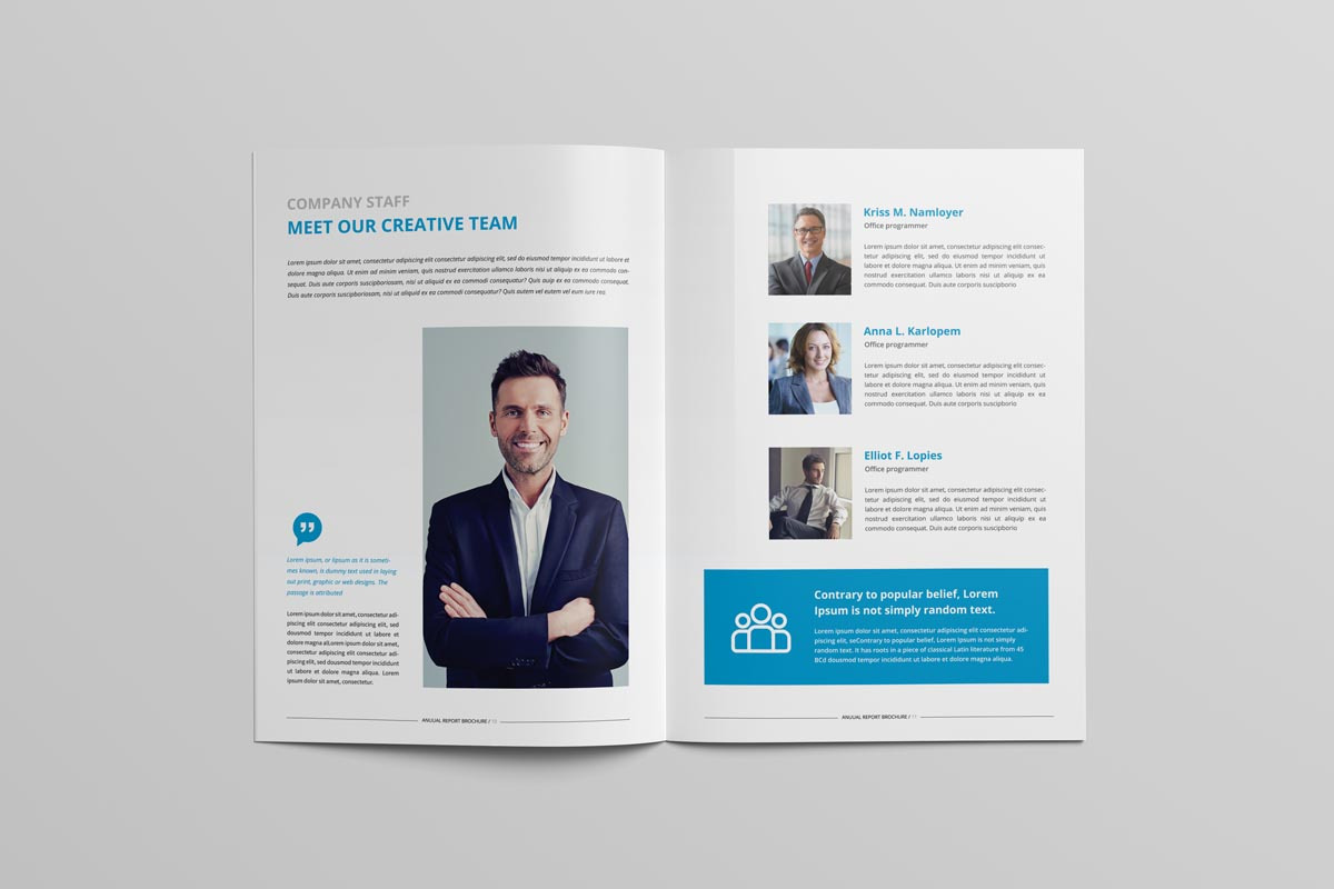 Annual Report Brochure, a Brochure Template by New Lines (Photo 6 of 14)
