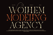 Asemok Elegant Serif Font, a Serif Font by Graphicxell (Thumbnail 3 of 8)