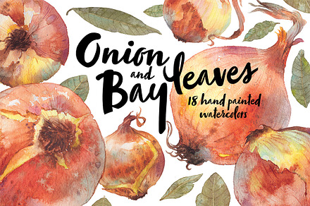 Onion & Bay leaves