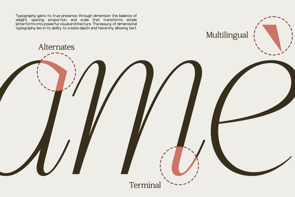 GC Ballerina - Stylish Serif Italic, a Serif Font by Glyphonic (Photo 6 of 15)
