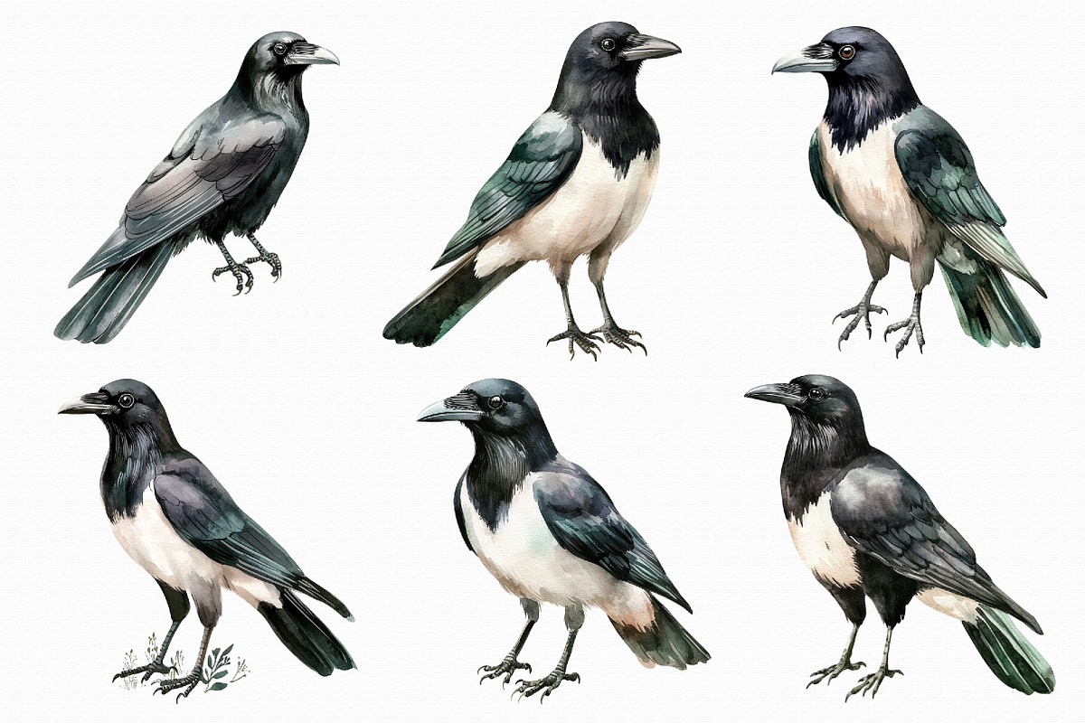 Raven watercolor clipart, an Illustration by Libby Wishes (Photo 4 of 4)