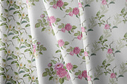 Blooming roses, an Illustration by Vasmila (Thumbnail 9 of 14)
