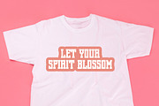 Cherry Blossom - Modern Slab Serif, a Slab Serif Font by Pian45 Studio (Thumbnail 6 of 8)