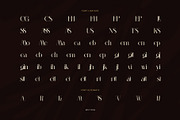 Mattgin Elegant Serif Font, a Serif Font by Perfectype (Thumbnail 8 of 8)