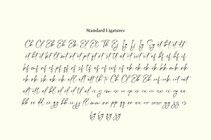 Handsome Lasting Script