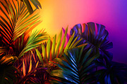 Frames in Neon Fluorescent Light, a Templates & Theme by VetalStock (Thumbnail 2 of 5)