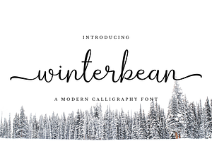 Winterbean - Modern Calligraphy Font