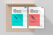 Flyer Mockup PSD Template, a Product Mockup by graphypix (Thumbnail 1 of 4)