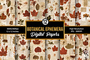 Fall Botanical Ephemera Backgrounds, a Pattern Graphic by Creative Store (Thumbnail 1 of 5)