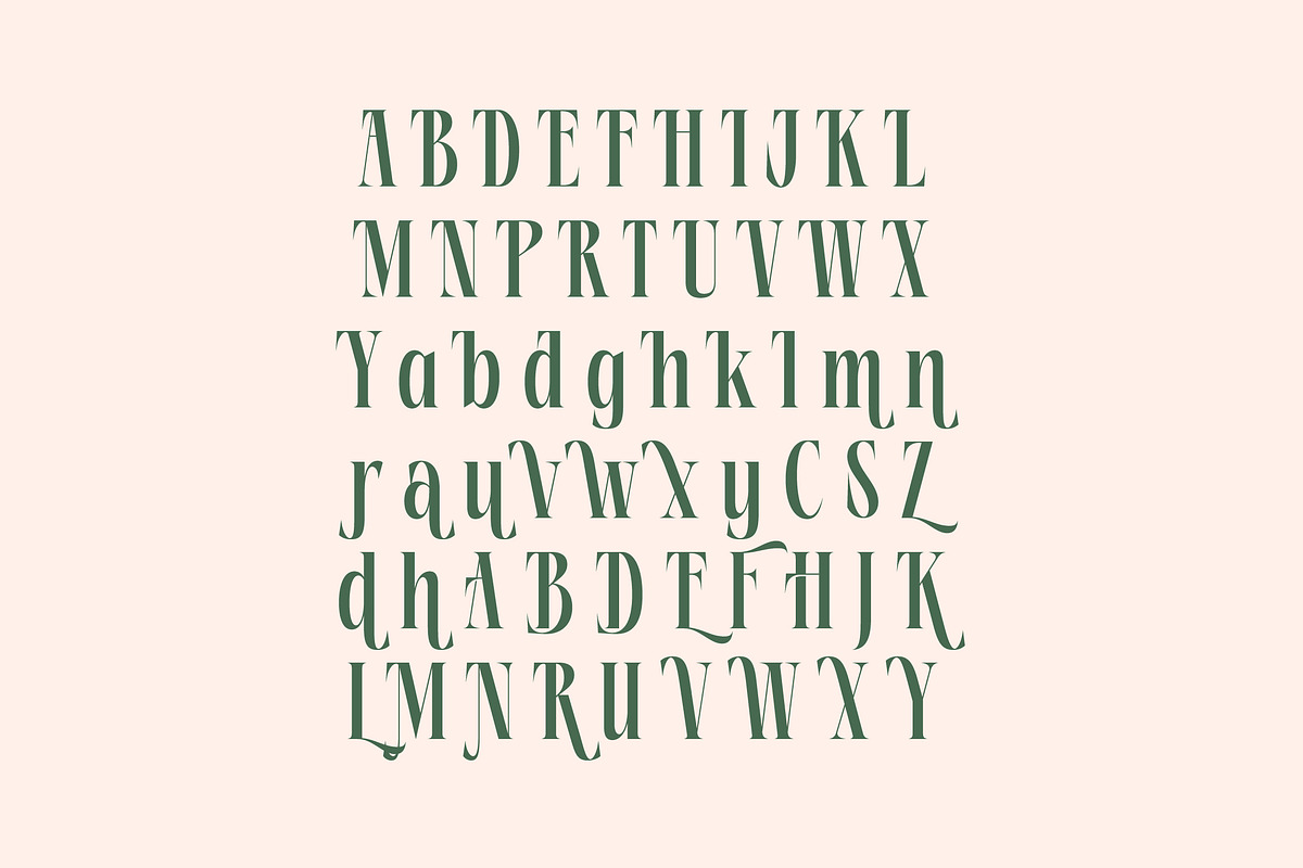 Repslag Brocker Luxury Serif Font, a Serif Font by timelesstype.co (Photo 18 of 20)