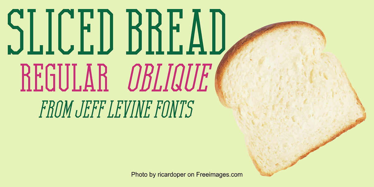 Sliced Bread JNL, a Slab Serif Font by Jeff Levine Fonts (Photo 1 of 5)