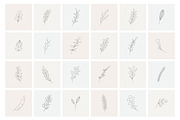 Botanical hand drawn elements, an Outline Icon by mayrum (Thumbnail 2 of 10)