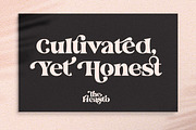 Fieasto, a Serif Font by Dora Typefoundry (Thumbnail 9 of 18)