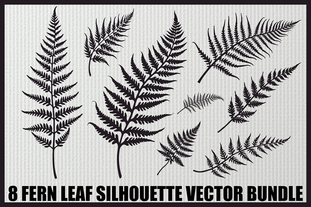 8 Fern Leaf Silhouette Bundle, an Illustration by BIPLOB EXPERT (Photo 1 of 9)