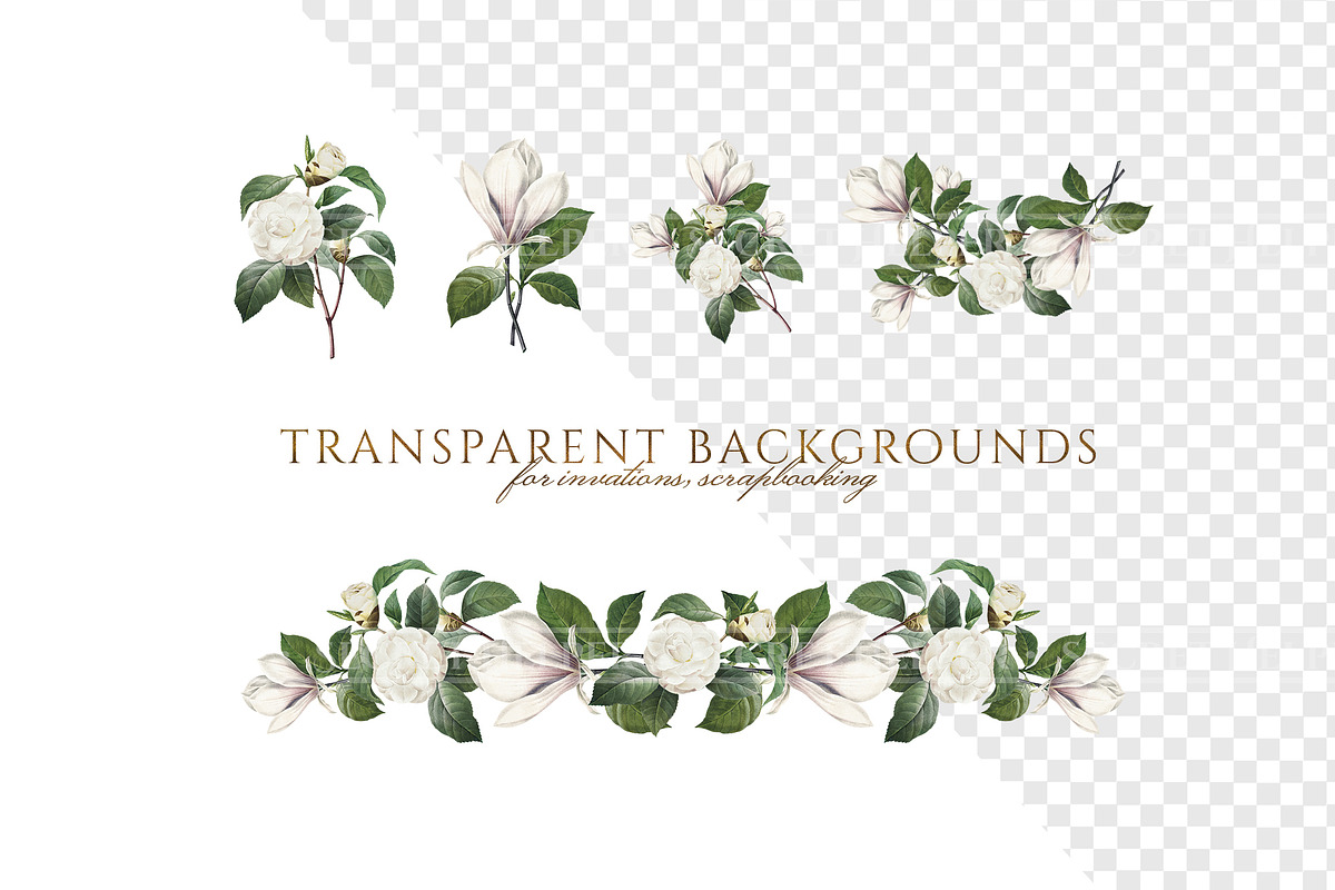 White Floral Clipart, Wreath, Frames, an Illustration by Secret Helper (Photo 8 of 9)