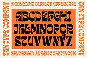 TAN - MOONLIGHT, a Font by TanType (Thumbnail 14 of 15)