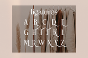 Pioneer Boulevard Typeface, a Serif Font by HipFonts (Thumbnail 3 of 12)