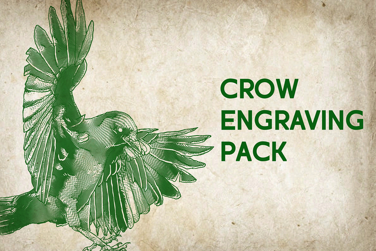 Crow Illustration Engraving Pack, an Illustration by Adan F Maruciel (Photo 1 of 5)