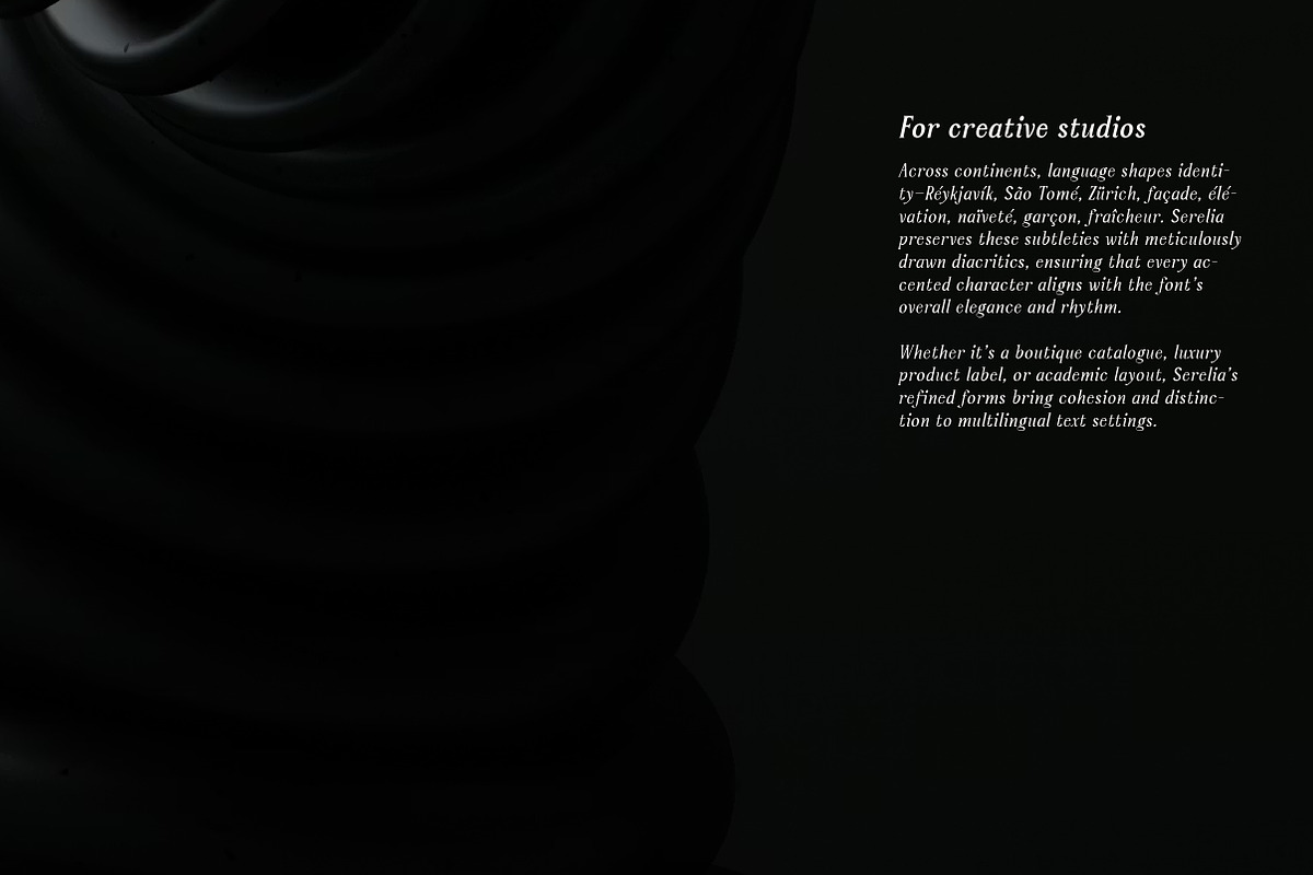 Serelia Serif Family | Intro 60% OFF, a Serif Font by Lettertype Studio (Photo 16 of 17)