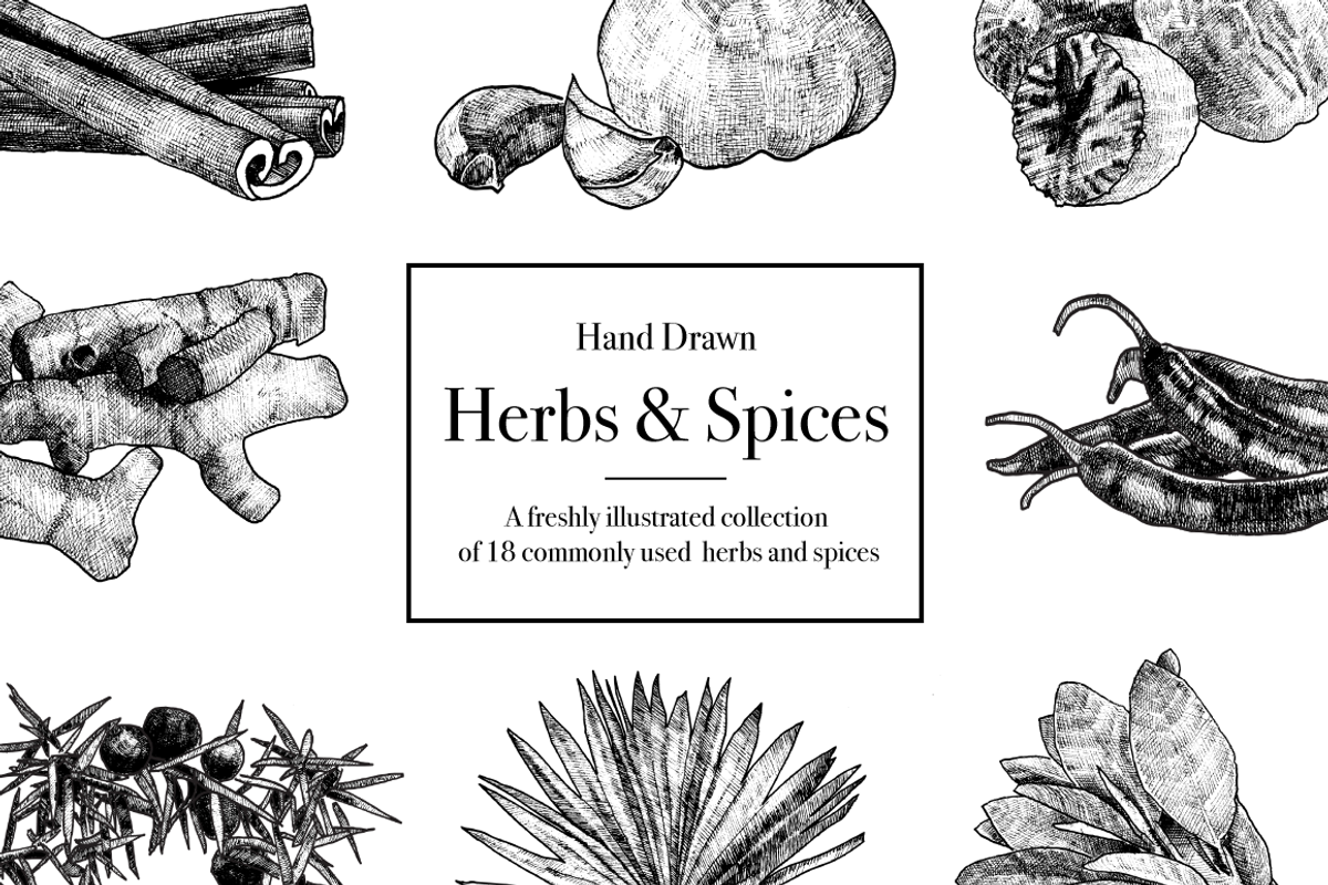 Hand Drawn Herbs & Spices, a Food Illustration by Linseed Studio (Photo 1 of 10)