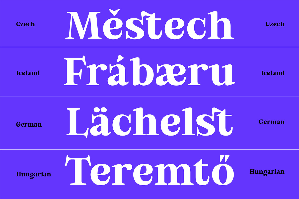 Bold Dignify - Minimalist Calm Serif, a Serif Font by Fridaytype (Photo 12 of 12)