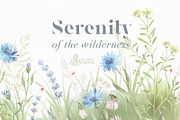 Meadow. Floral Borders & Elements, a Decorative Illustration by OctopusArtis (Thumbnail 8 of 8)