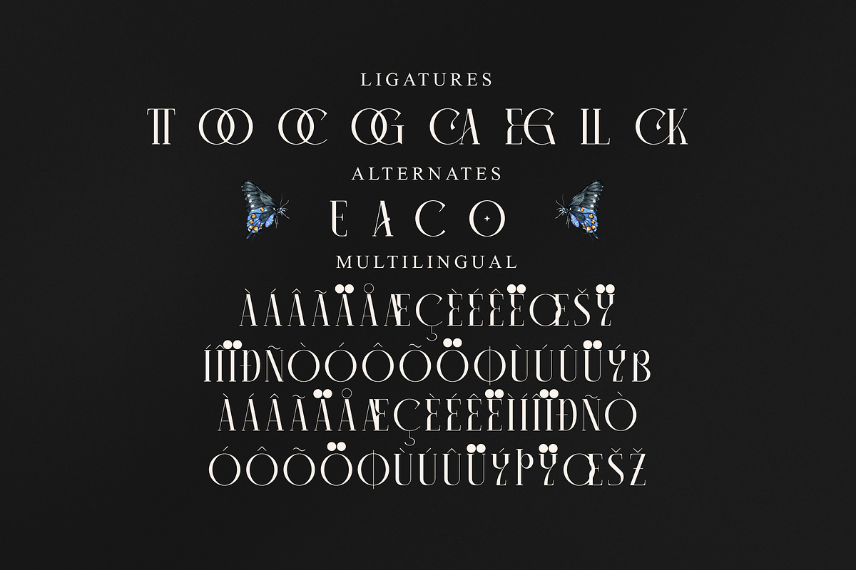 Camaroon Megalord Serif Display Font, a Serif Font by Storytype Studio (Photo 14 of 15)