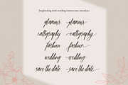 The Bloomington Font, a Script Font by Ivan Rosenberg (Thumbnail 10 of 12)