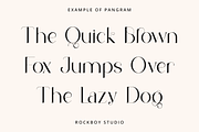 Regranek - Display Serif Font, a Serif Font by RockboyStd (Thumbnail 7 of 12)