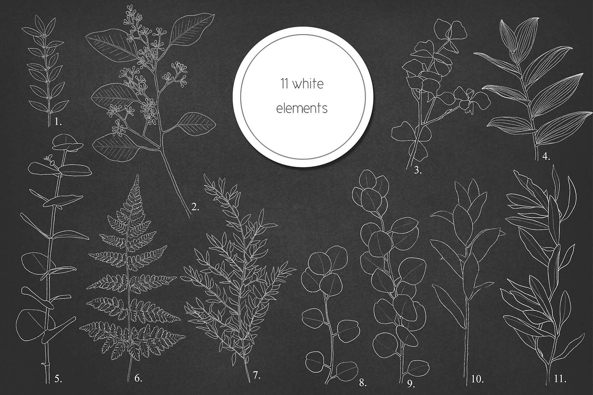 Fresh greenery frames and patterns, a Decorative Illustration by marie dricot (Photo 15 of 16)