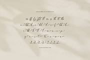 Mallsreya Beauty Calligraphy Script, a Script Font by gracetype_studio (Thumbnail 11 of 12)