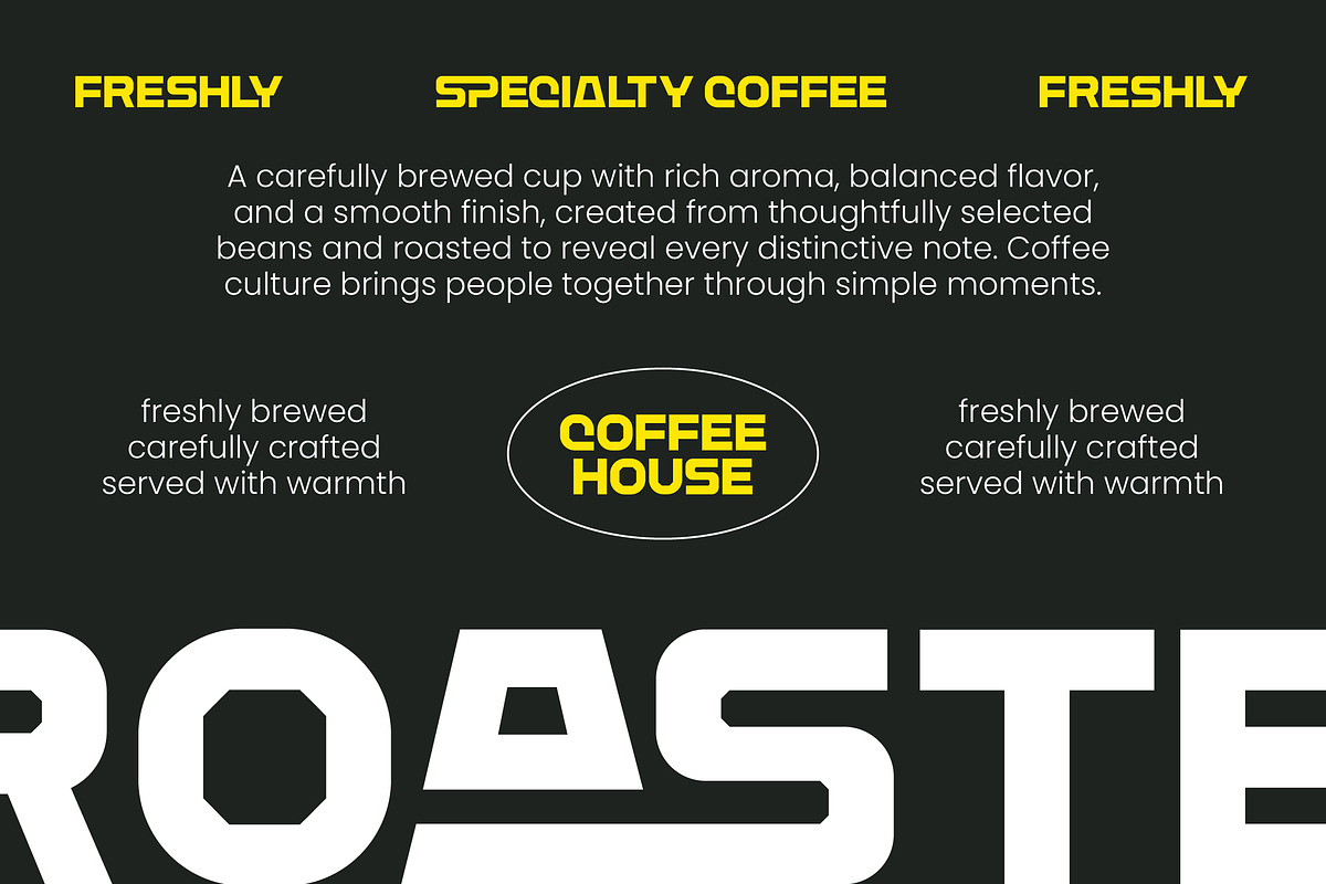 Maison Vance Display Sans Serif, a Sans Serif Font by timelesstype.co (Photo 7 of 10)