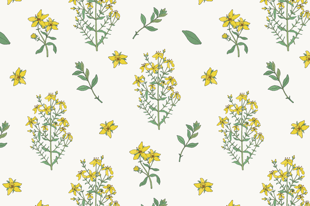 St.John's wort set, seamless pattern, a Decorative Illustration by Good Studio (Photo 3 of 6)