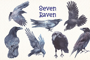 Seven Raven Watercolor Clipart