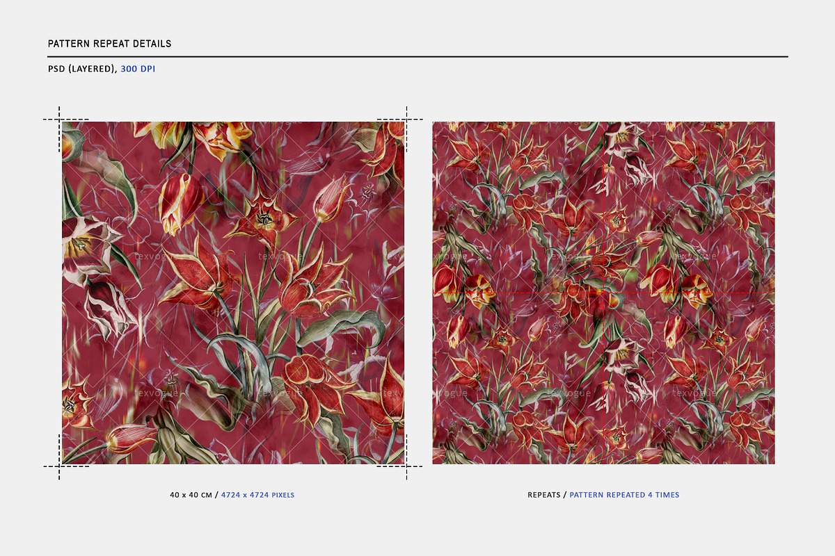Vibrant Tulip Seamless Pattern, a Pattern Graphic by texvogue (Photo 3 of 7)