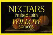 Honeyfield Serif, a Font by Press & Pen (Thumbnail 4 of 8)