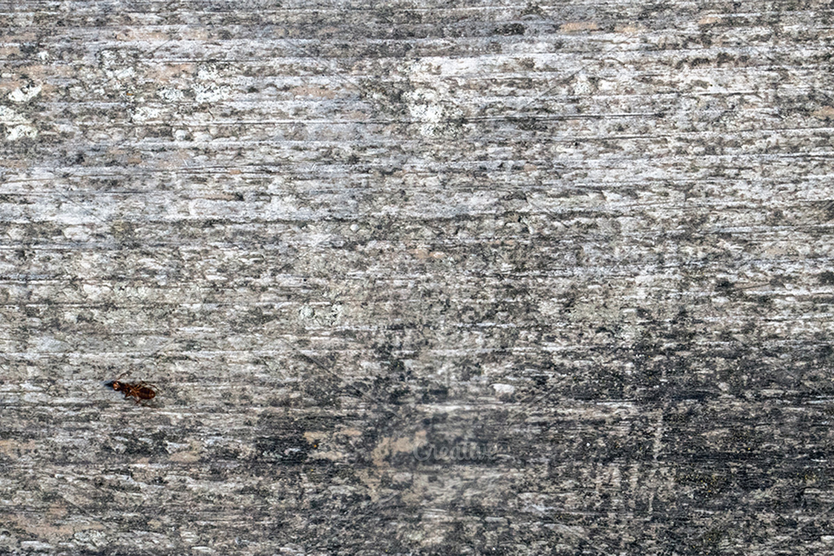 Natural wood texture patterns, a Background Photo by Schreibikus (Photo 7 of 8)