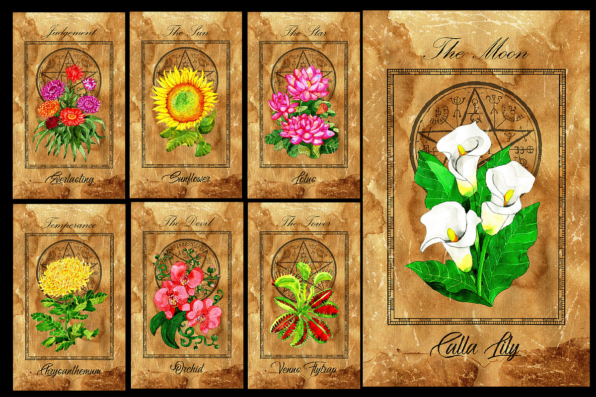 Enchanted flowers tarot deck, a Decorative Illustration by Samiramay (Photo 4 of 12)