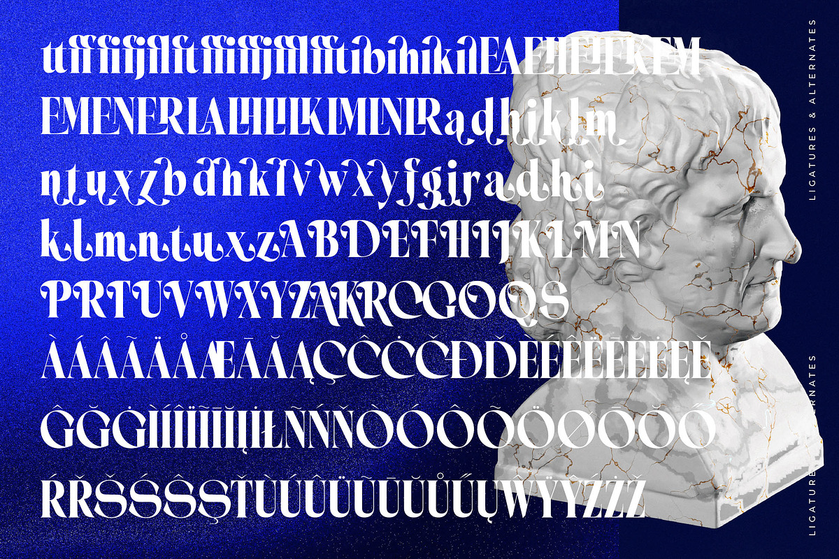 Seafibe Modern Serif Display, a Serif Font by timelesstype.co (Photo 19 of 20)