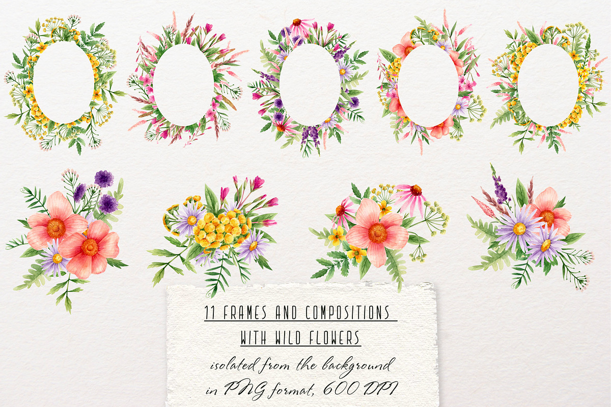 Wild flowers watercolor clipart, an Illustration by a_ptichkina (Photo 7 of 7)